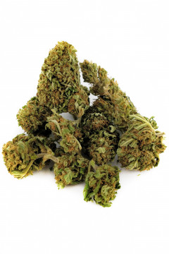 Florida Lemon Kush CBD - Fleur CBD de cannabis légal