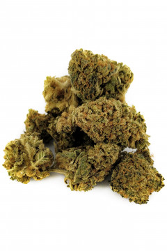 Forbidden Fruit CBD - Fleur CBD de cannabis légal