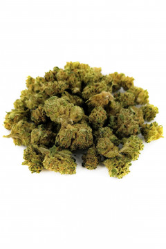 Cannatonic CBD - Fleur CBD de cannabis légal