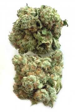 Gorilla Glue CBD - Fleur CBD de cannabis légal