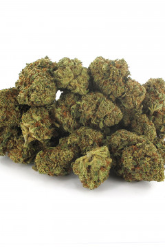 Plusieurs grammes de fleurs séchées de cannabis CBD