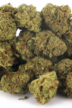 Cannabis légal sous forme de fleur CBD OG Kush