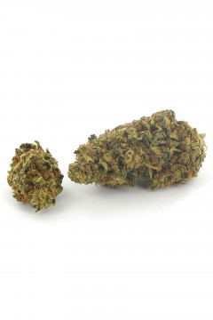 Deux gousses de weed au CBD Purple Skywalker