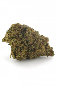 Banana Cookies - Fleur de CBD au cannabis légal
