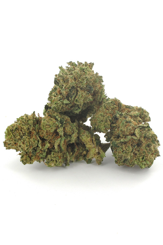 Plusieurs têtes de fleurs de cannabis à l'odeur de Haze