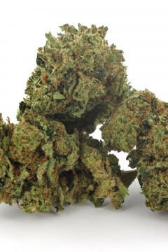 Fleur de CBD au cannabis légal en détails