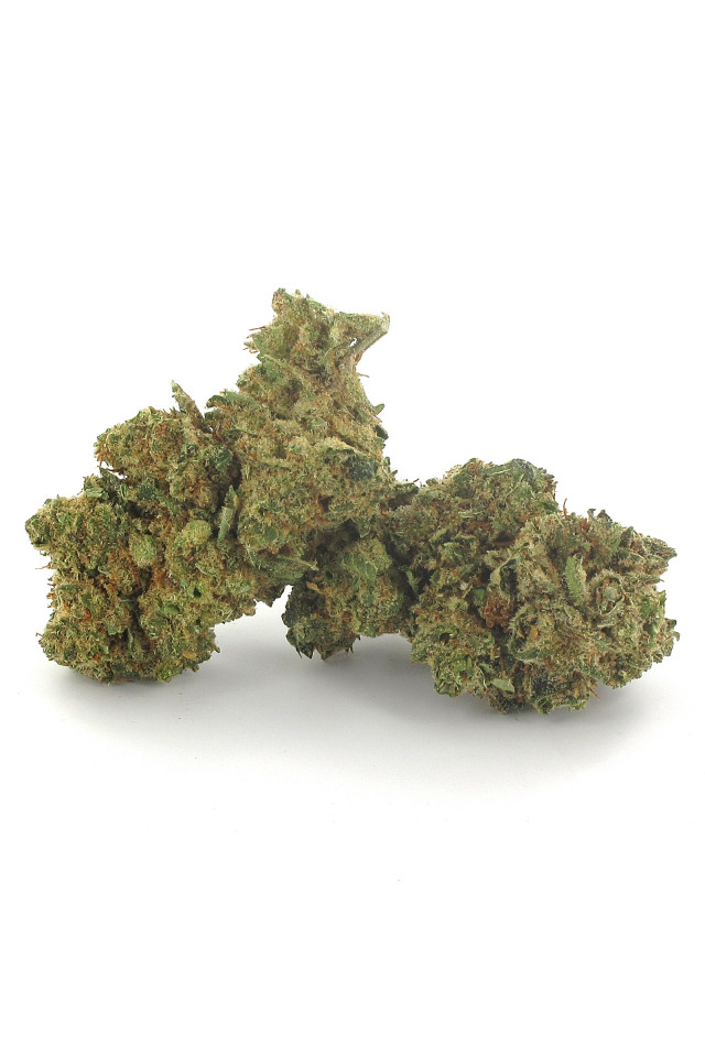 Crtitical Haze CBD - Fleur aérée de grande taille issue de la plante de cannabis