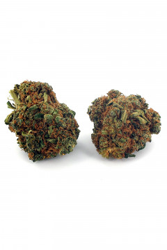 Deux gousses de fleur de cannabis light Orange Crush