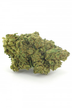 Gorilla Haze - Fleur CBD de cannabis légal