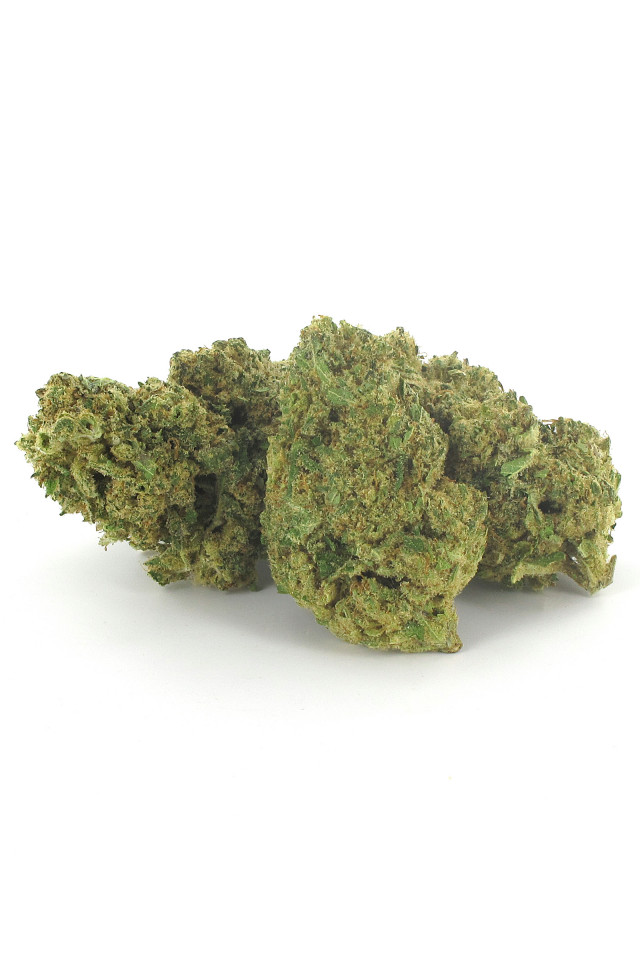 Plusieurs gousses de cannabis légal de variété Gorilla Haze au CBD