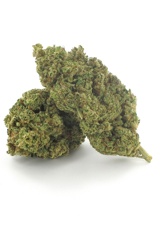 Deux fleurs Bubble Gum au cannabis CBD