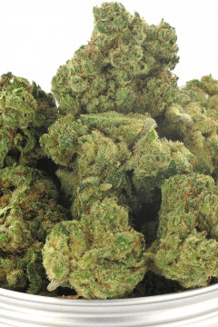Zoom sur la fleur de cannabis légale Bubble Gum CBD