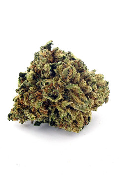 Lemon Haze CBD - Fleur CBD de cannabis légal
