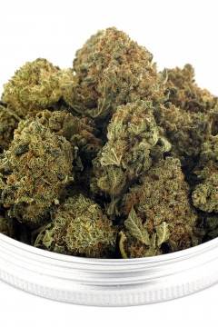 Fleurs de cannabis au CBD Cannabubble