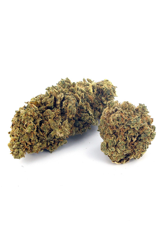 Deux gousses de fleur de cannabis light Cannabubble