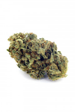 Amnesia Haze - Fleur de cannabis CBD très puissante à 8% et légal en vente en ligne