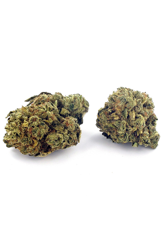 Deux gousses de fleur de cannabis light Silver Queen