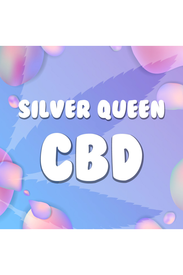 Silver Queen CBD