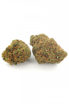 Deux gousses de fleur de cannabis light Pineapple Express