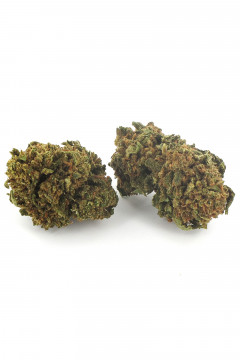 Deux gousses de fleur de cannabis light Strawberry Kush